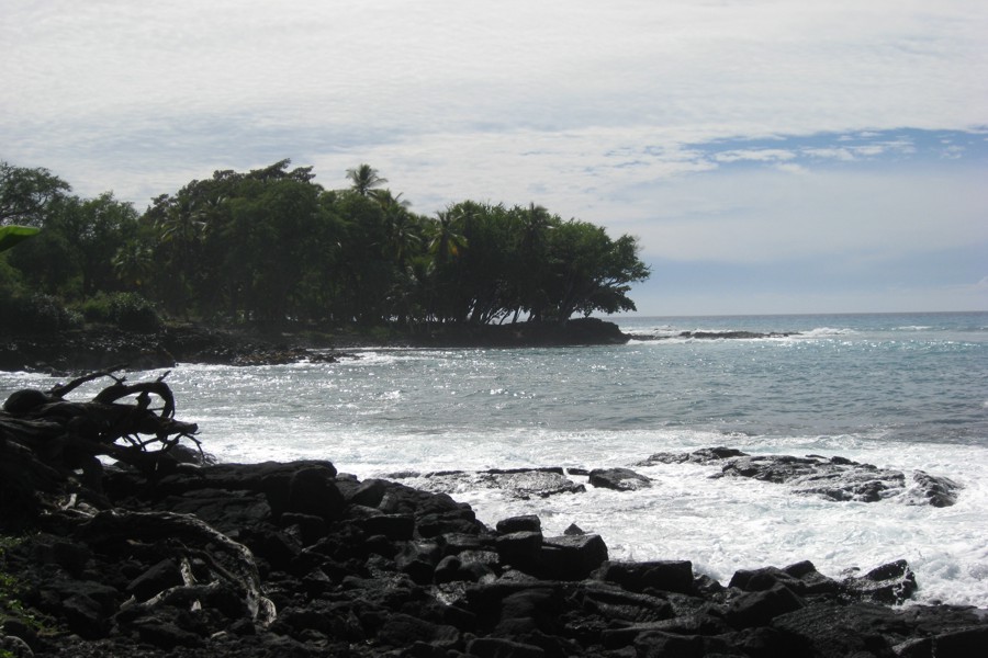 ../image/kona shoreline 6.jpg